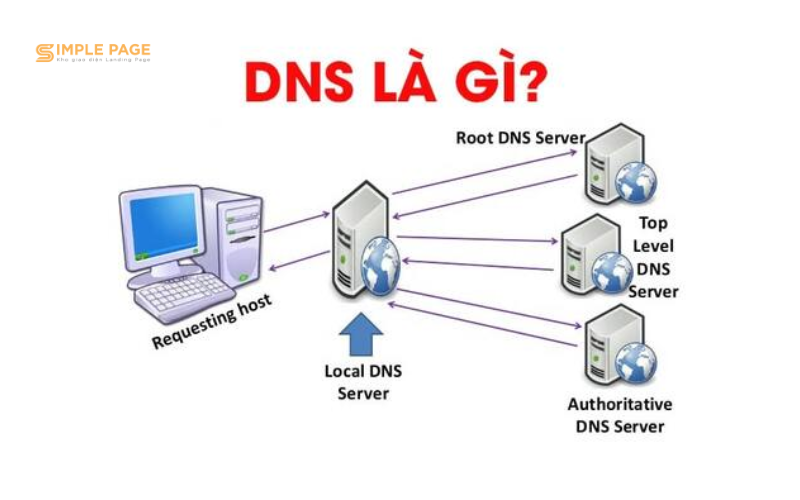 Cấu hình DNS là gì?
