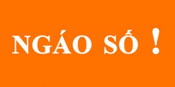 Nội lực thực sự của các Doanh nghiệp thời trang Việt