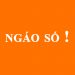 Nội lực thực sự của các Doanh nghiệp thời trang Việt