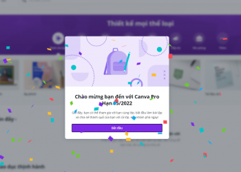 Cách dùng tài khoản Canva Pro miễn phí (update 2023)