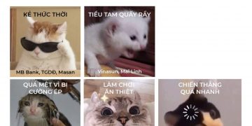 Đừng nhầm lẫn số hoá với chuyển đổi số