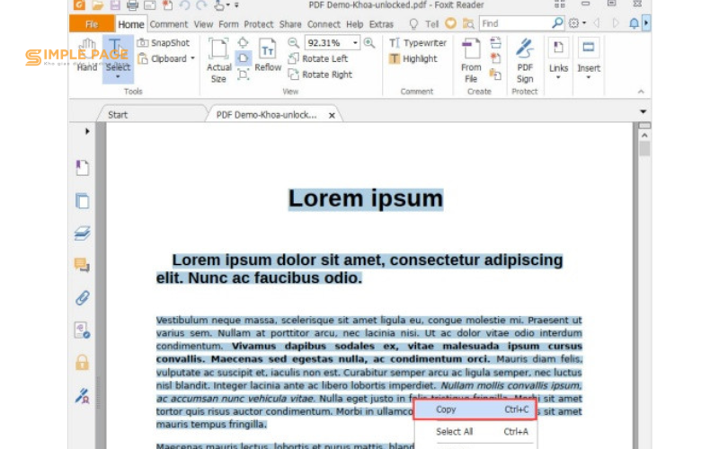 Cách 2: Bẻ khóa file PDF trước khi copy
