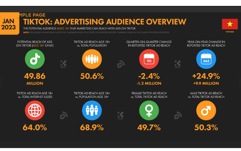 Người dùng TikTok tại Việt Nam năm 2023