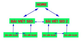 CÁC BƯỚC SEO CHO NGƯỜI MỚI