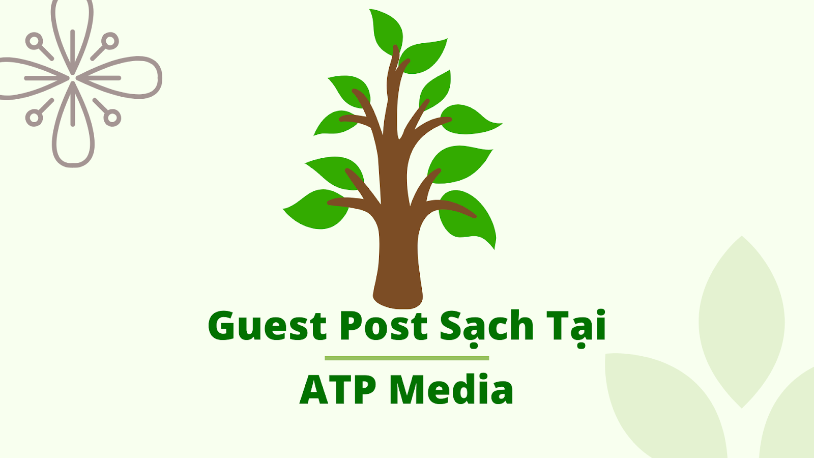 Dịch Vụ Guest Post Tại TP.HCM