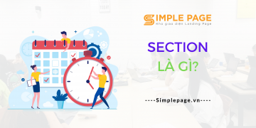 Section là gì ?