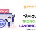 tam quan trong cua landing page