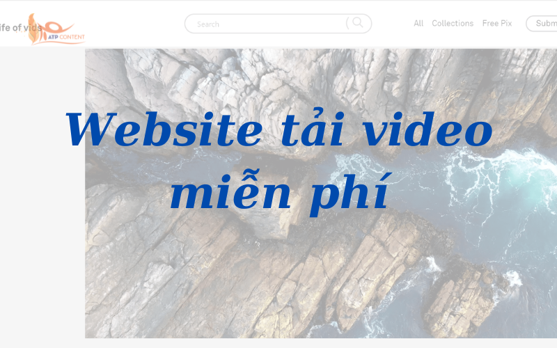 8 Website tải video miễn phí chất lượng cao