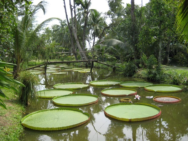 Làm tour giá rẻ khám phá Sài Gòn