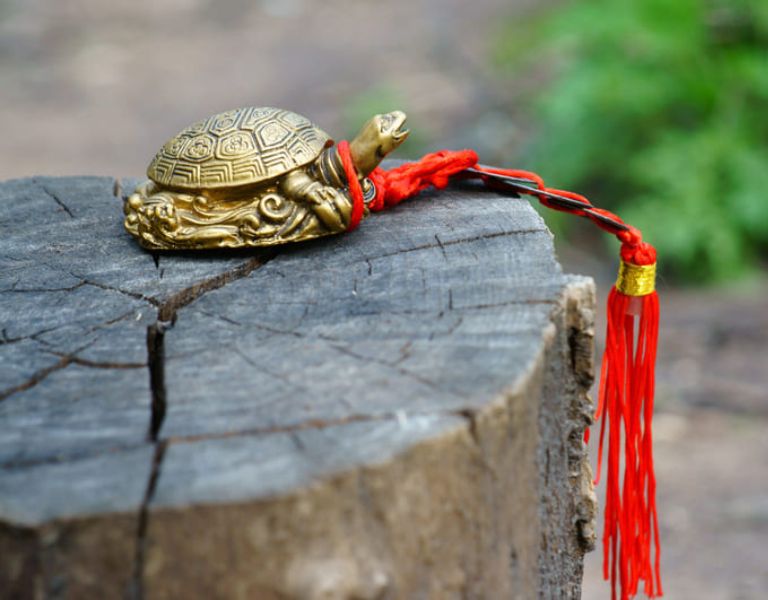 Linh vật rùa phong thủy