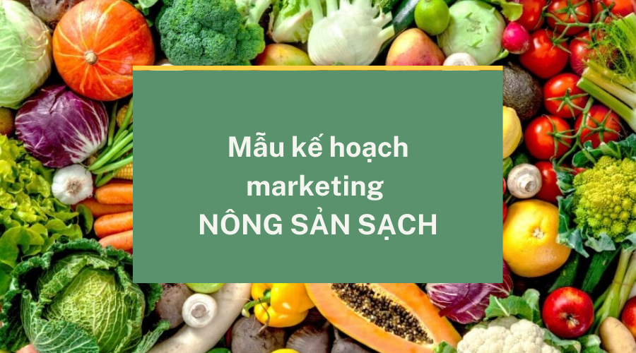 Mẫu kế hoạch marketing nông sản sạch chi tiết nhất 2023