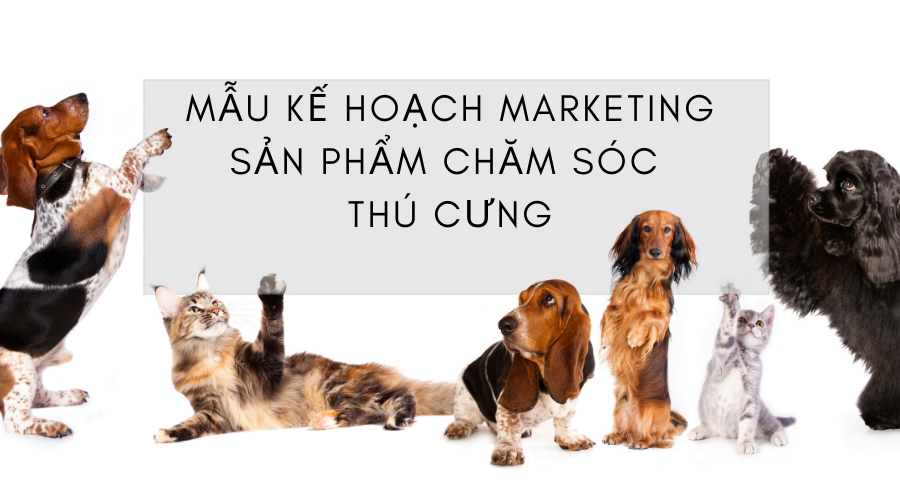 Mẫu kế hoạch marketing sản phẩm chăm sóc thú cưng