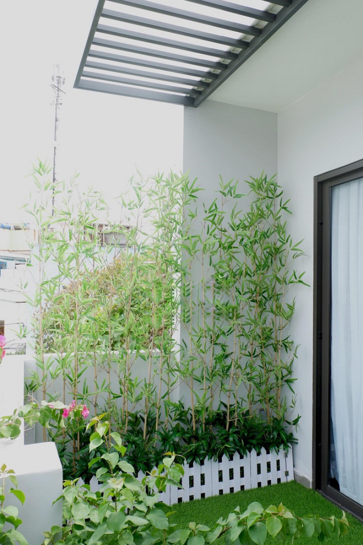 trồng cây gì trước sân