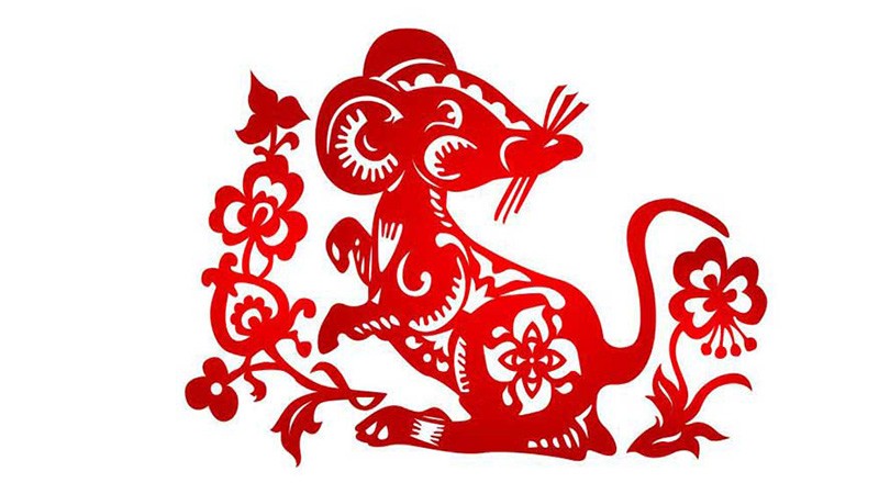 Người tuổi Tý hợp hướng nào?