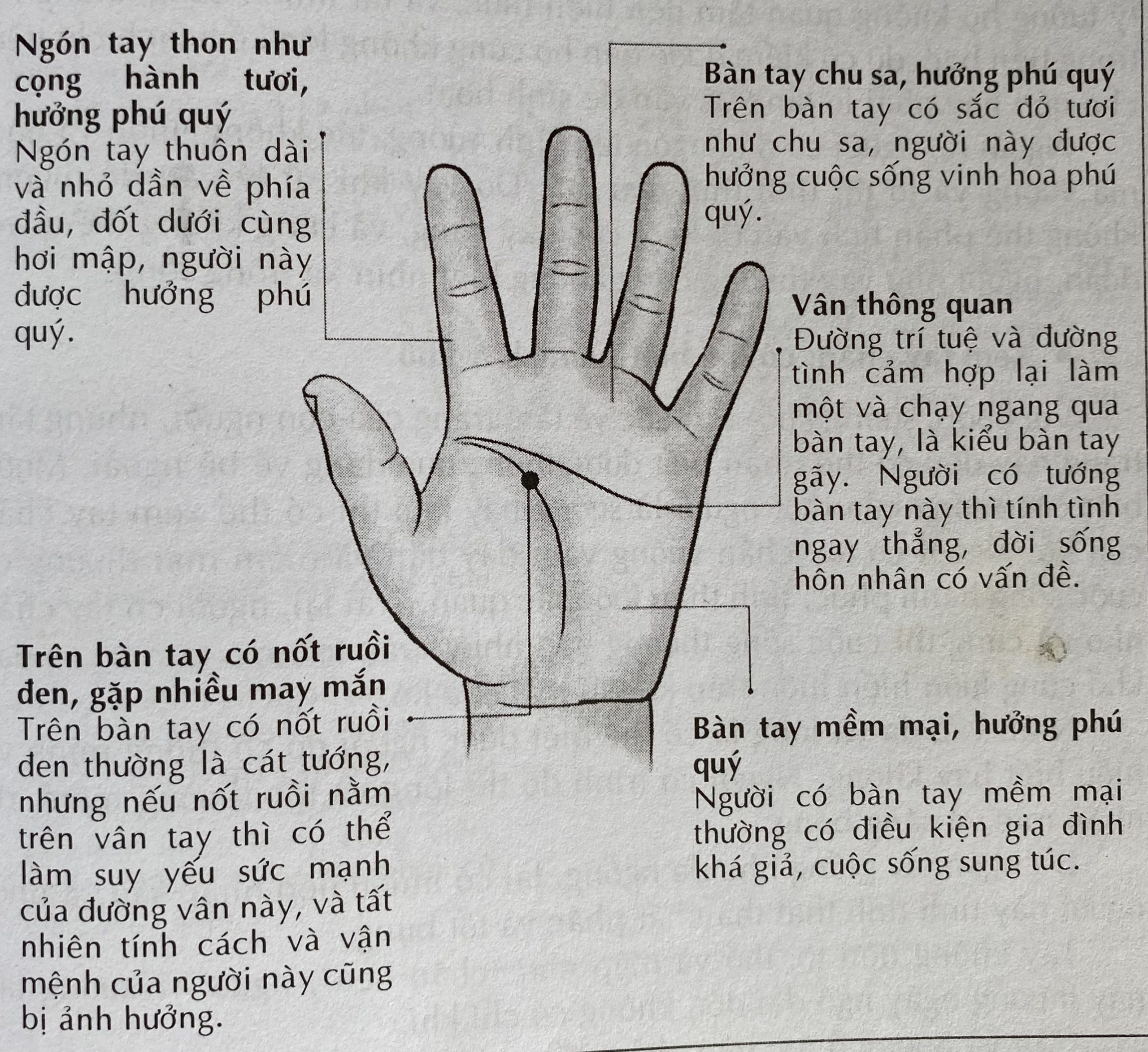 Tướng bàn tay