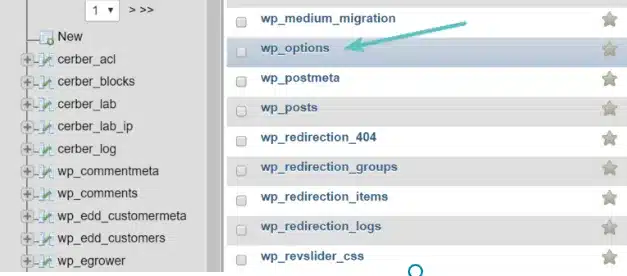 mở bảng "wp-options".